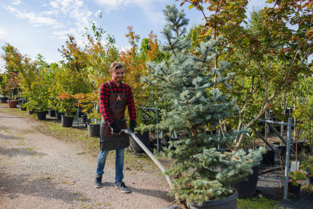 Best Affordable Tree Service  in Southern Gateway, VA